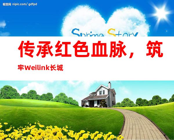 传承红色血脉，筑牢Weilink长城